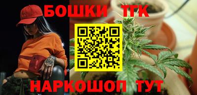 амф Камышлов