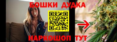 амф Камышлов