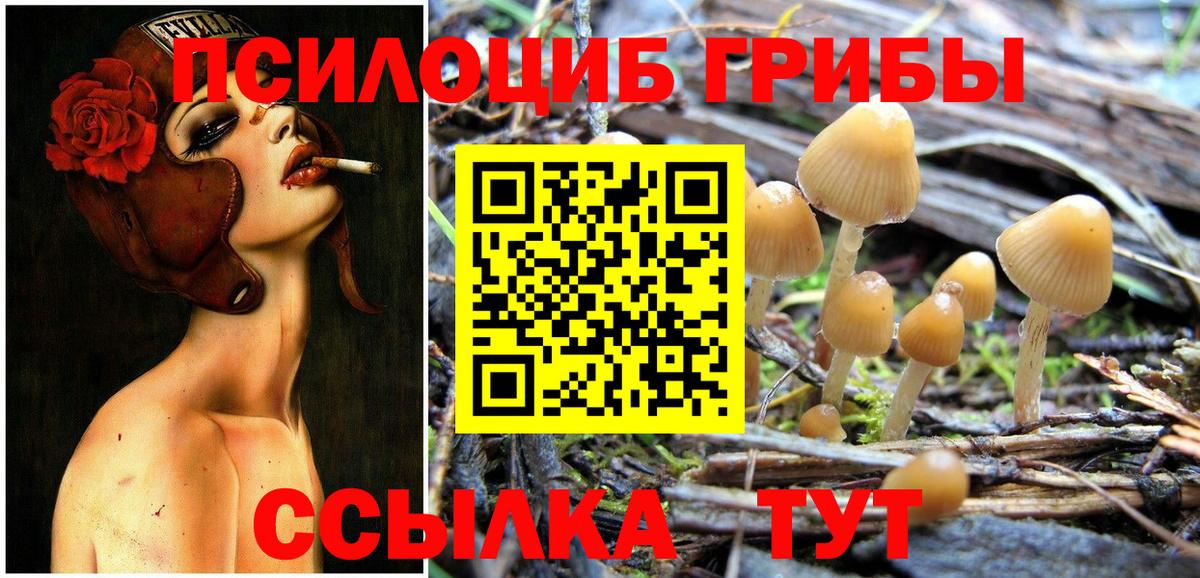 Псилоцибиновые грибы Cubensis  Вход с VPN  Озёры 