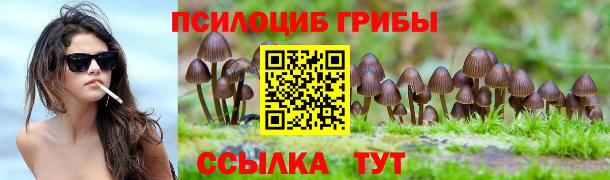 Галлюциногенные грибы Psilocybe Озёры